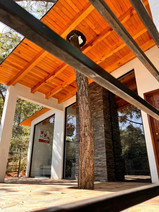 Cabana "Alexa", En El Corazon Del Bosque De Mazamitla Esterno foto