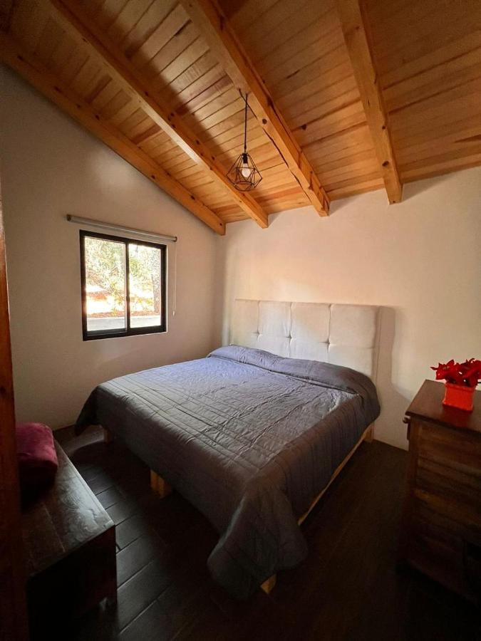 Cabana "Alexa", En El Corazon Del Bosque De Mazamitla Esterno foto